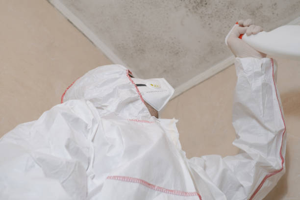 Best Toxic Mold Removal  in Farley, KY
