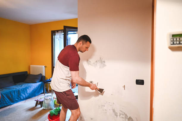 Best Residential Mold Removal  in Farley, KY