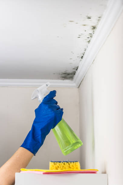 Best Crawl Space Mold Removal  in Farley, KY